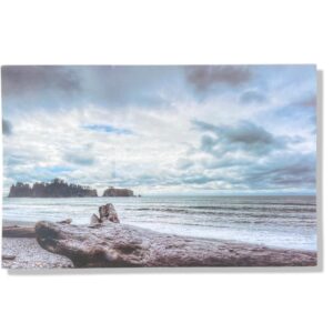 10 Wenskaarten Blanco Bloemen | 11x17cm | incl. Envelop | BL1.3.9