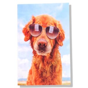 10 Wenskaarten Blanco dieren | 11x17cm | incl. Envelop | BL3.1.5
