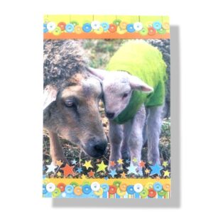 10 Wenskaarten blanco dieren | 11x17cm | incl. Envelop | BL4.3.4