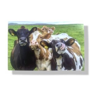 10 Wenskaarten blanco dieren | 11x17cm | incl. Envelop | BL4.3.5