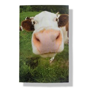 10 Wenskaarten blanco dieren | 11x17cm | incl. Envelop | BL4.3.7