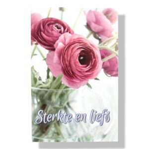 10 Wenskaarten Beterschap | 11x17cm | incl. Envelop | BS5.2.5