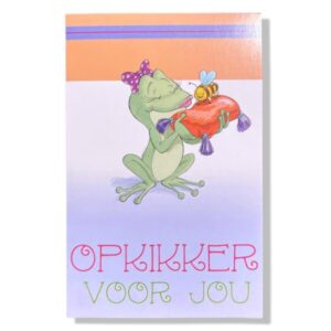 10 Wenskaarten Beterschap | 11x17cm | incl. Envelop | BS5.4.2