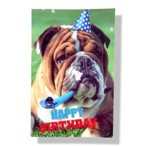 10 Wenskaarten | Hartelijk gefeliciteerd | 11x17cm | incl. Envelop | HG14.1.10