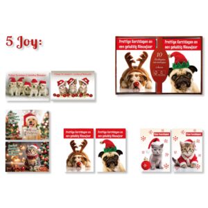 40 Kerstdozen Populair - Friends - 4 x 10 dozen