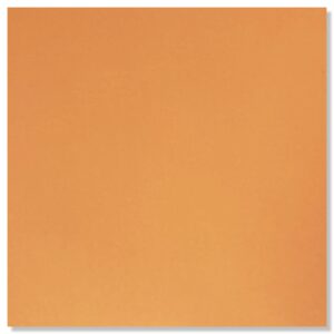 Scrapbook Papier Pompoen Oranje